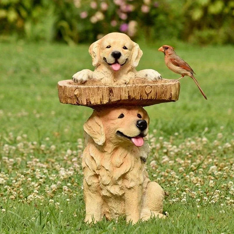 Dog bird best sale feeder