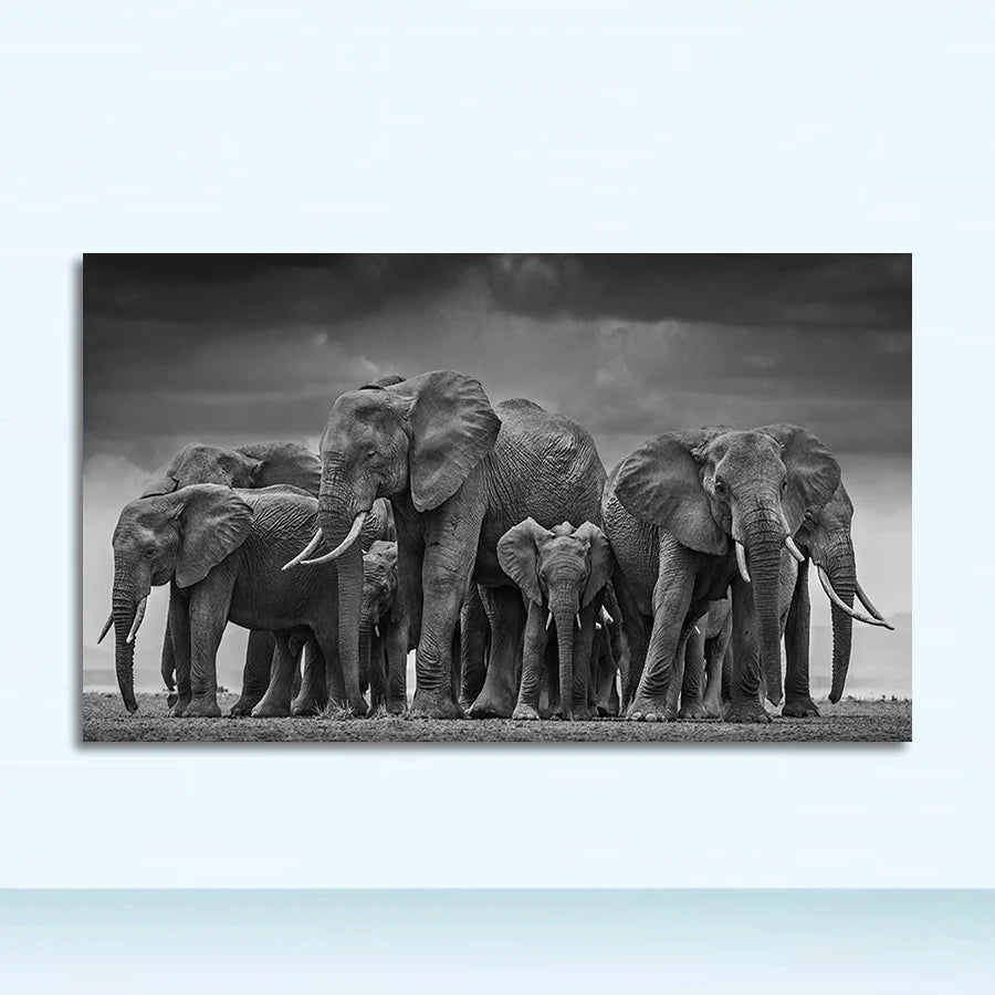 47568505667916|47568505700684|47568505733452|47568505766220|47568505798988