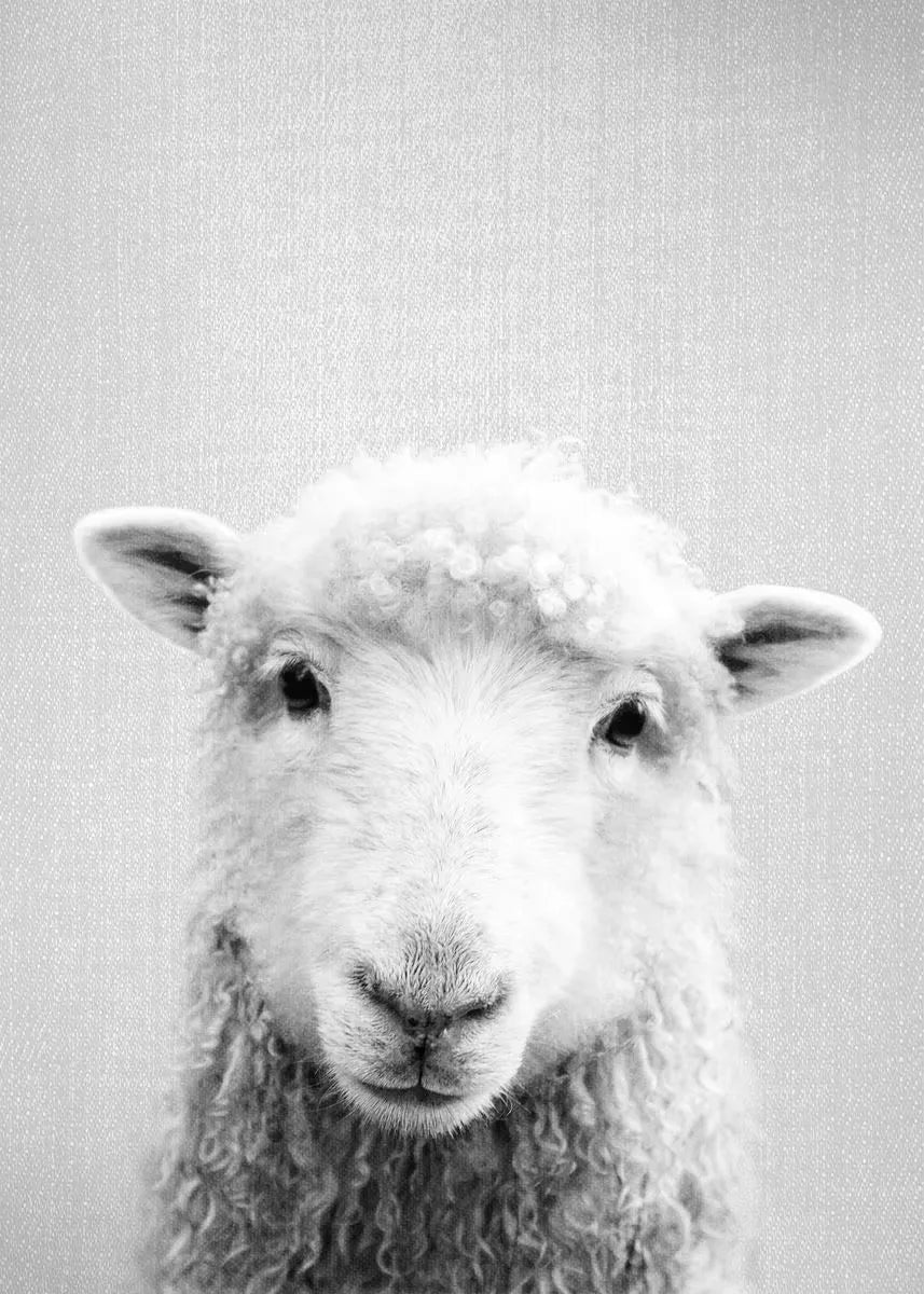 Black and White Animal Canvas Poster Panda Rabbit Fox Bear Otter Wall Art Picture for Living Room Bedroom Modern Home Decor Gift