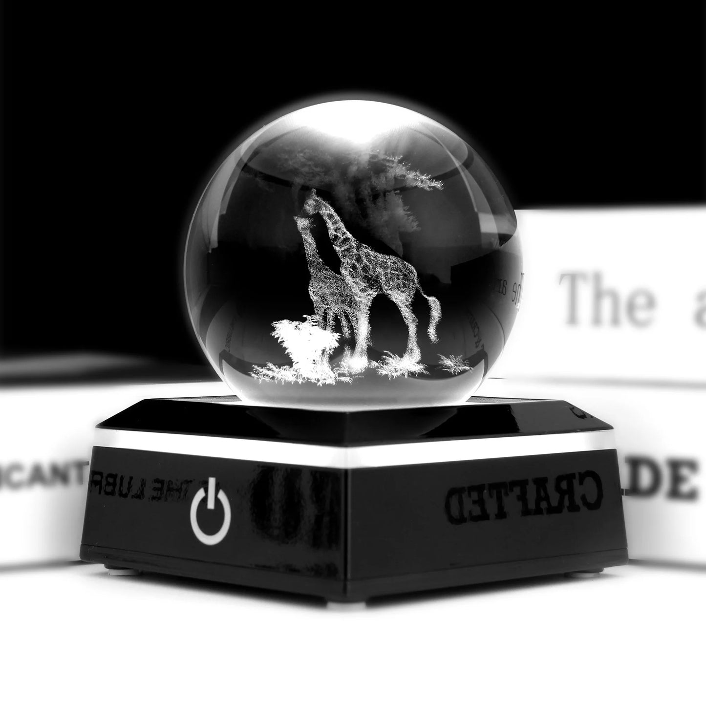 47737113444684|47737113477452