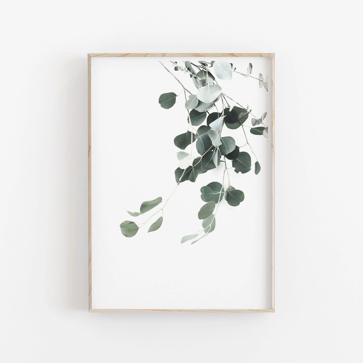 Minimalist Aesthetics Nordic Botanical Poster Canvas Painting Eucalyptus Palm Leaves Art Plant Printable Wall Decor