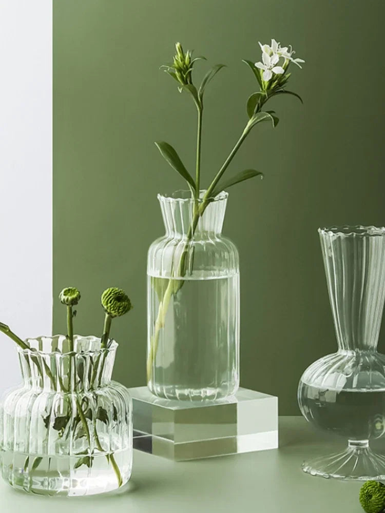 Clear glass vase Home Hydroponic vase Nordic style Decorative Vase Modern table ornament Vase Home Decoration Modern decoration