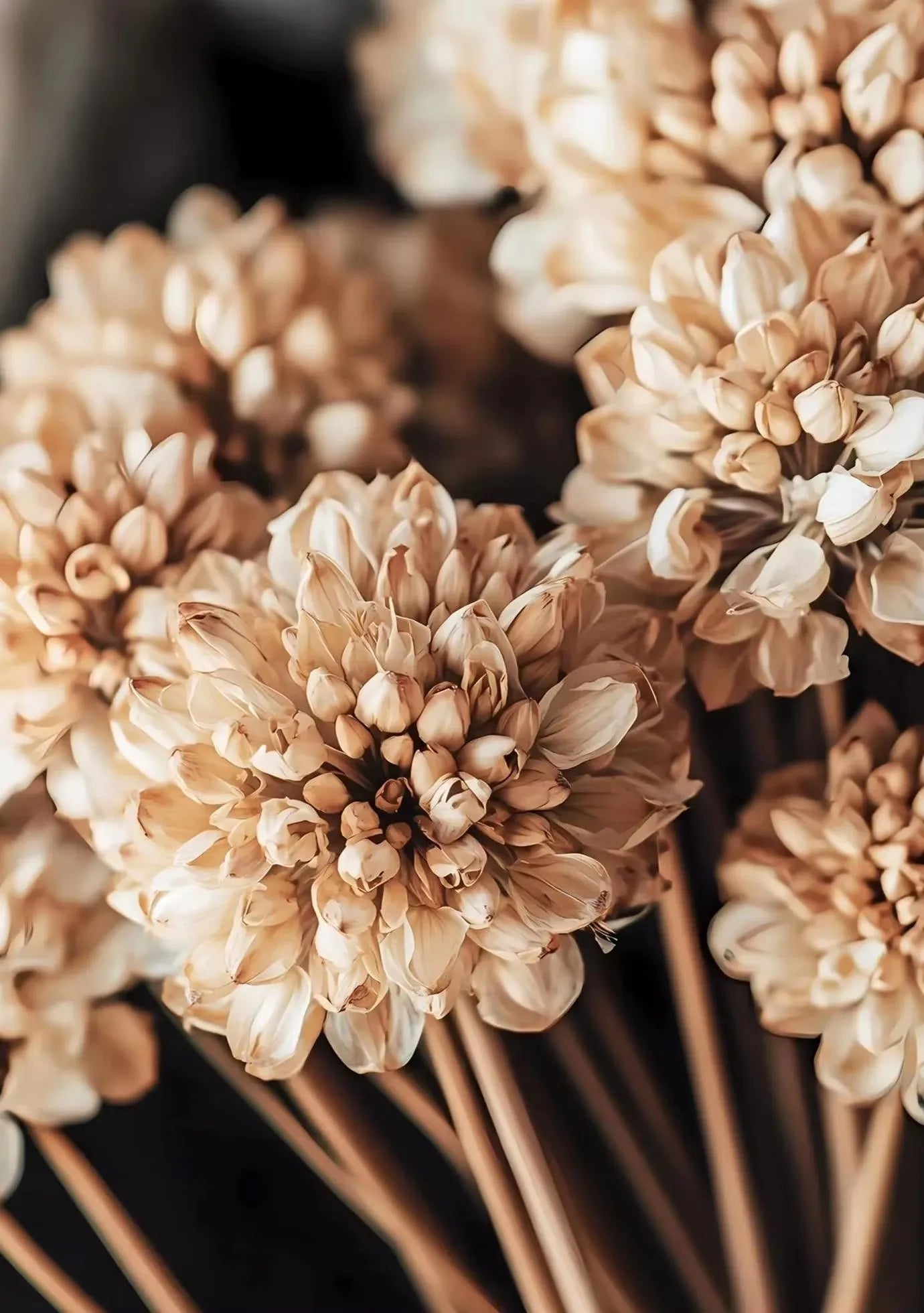 Neutral Modern Plant Art Abstract Minimalist Beige Black Flower Poster Canvas Printing Living Room Bedroom Home Decoration Gift