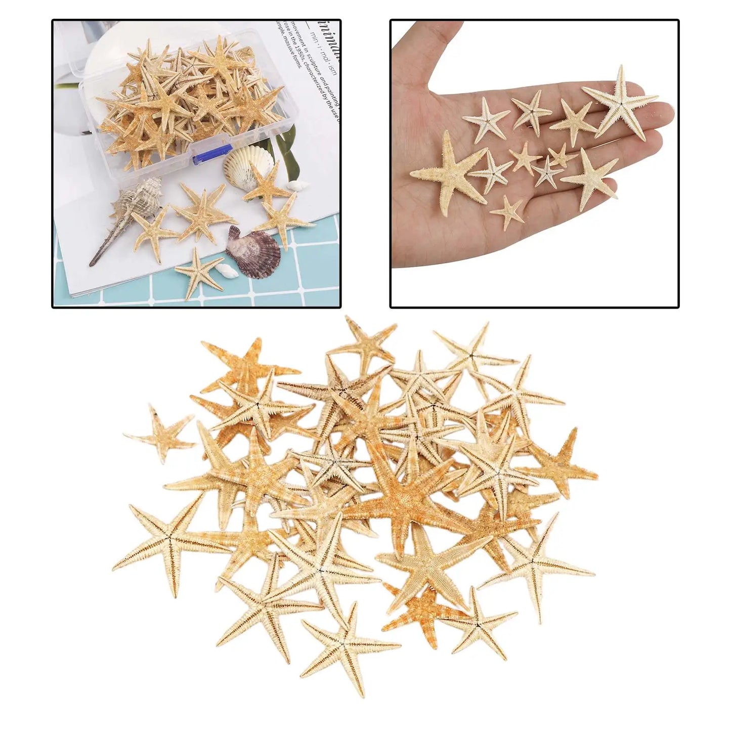 Natural Starfish Decorations Seashells Crafts Wedding Aquarium DIY Decor