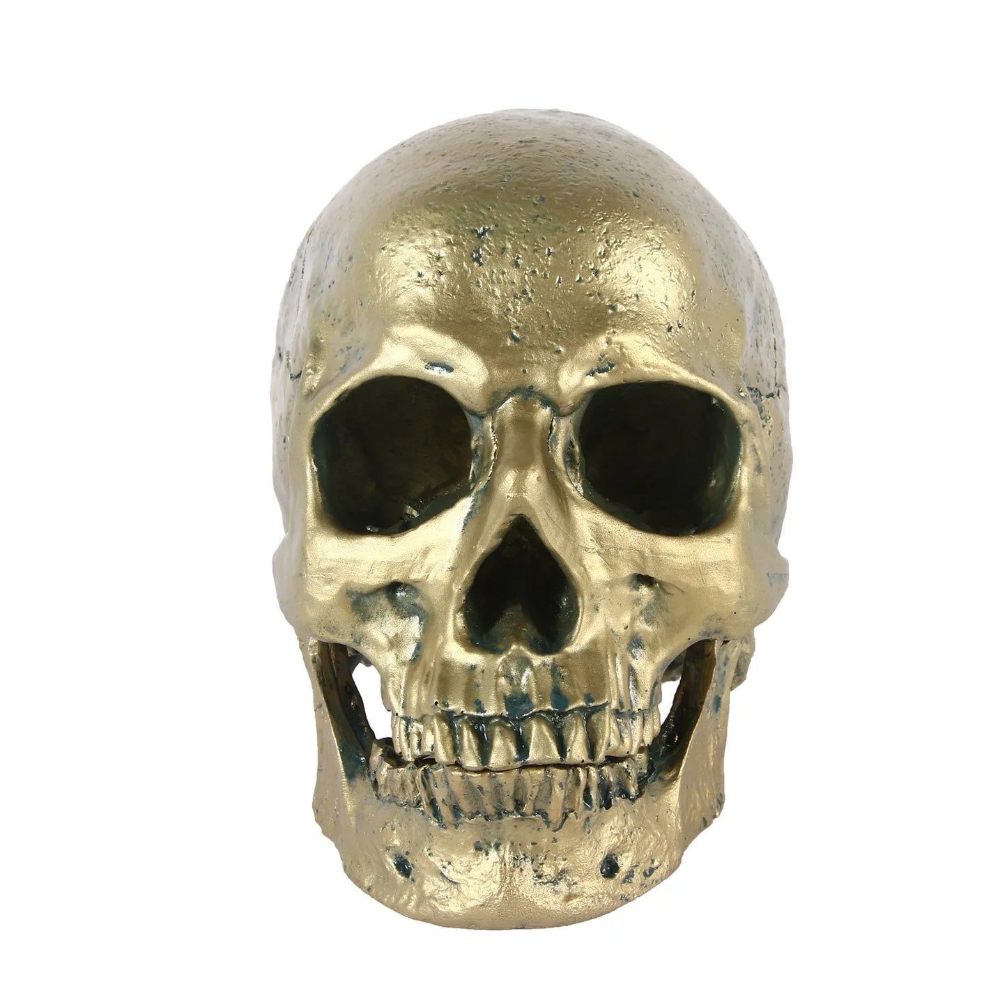 Réplique de crâne humain, modèle de crâne en résine, décoration de crâne, décoration de salle de maison, Sculpture de crâne, Figurine d'halloween