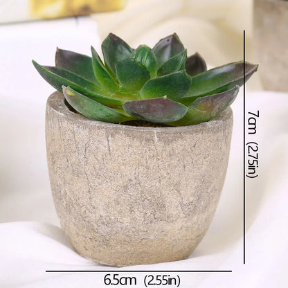 Mini Evergreen Artificial Succulent Plants Small Simulated Tree Pot Plants Fake Flowers Office Table Ornaments Home Garden Decor