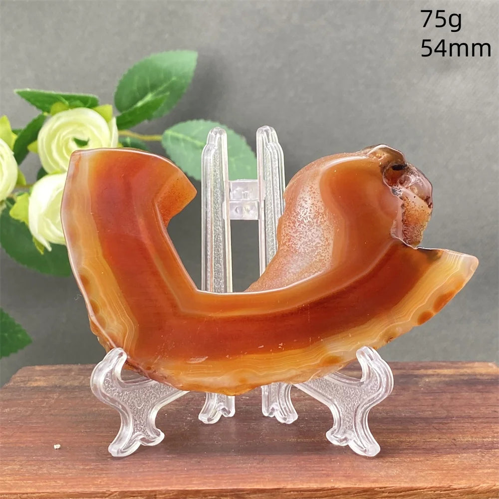 Natural Red Agate Crystal Cavity Stone - Energy Healing Reiki Meditation Beautiful Home Decor Gift for Prayer