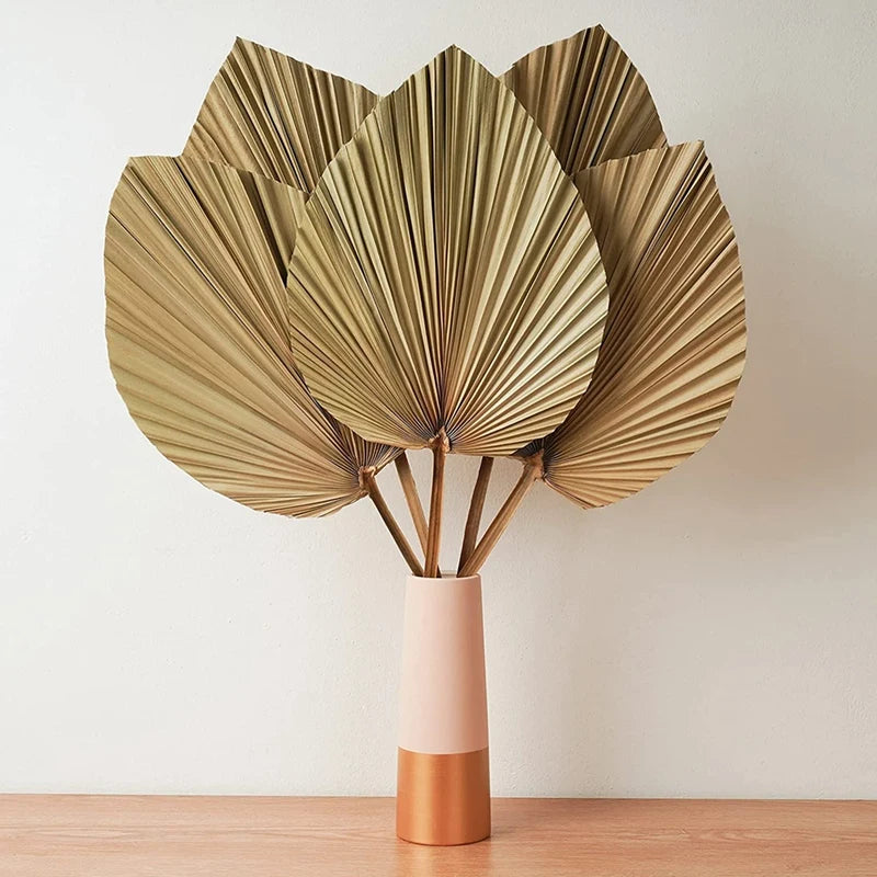 Raumdekoration aus getrockneten Palmblättern, 5 Stück – 45,7 cm HX, 25,4 cm breit, großes natürliches Palmblatt-Dekor für einen schönen Boho-Look