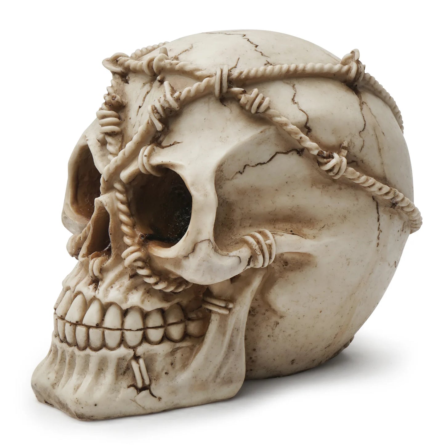 Creative Human Head Skull Model Resin Skull Decoration Statue Home Room Decoration Skull Sculpture Halloween Skull Figurine