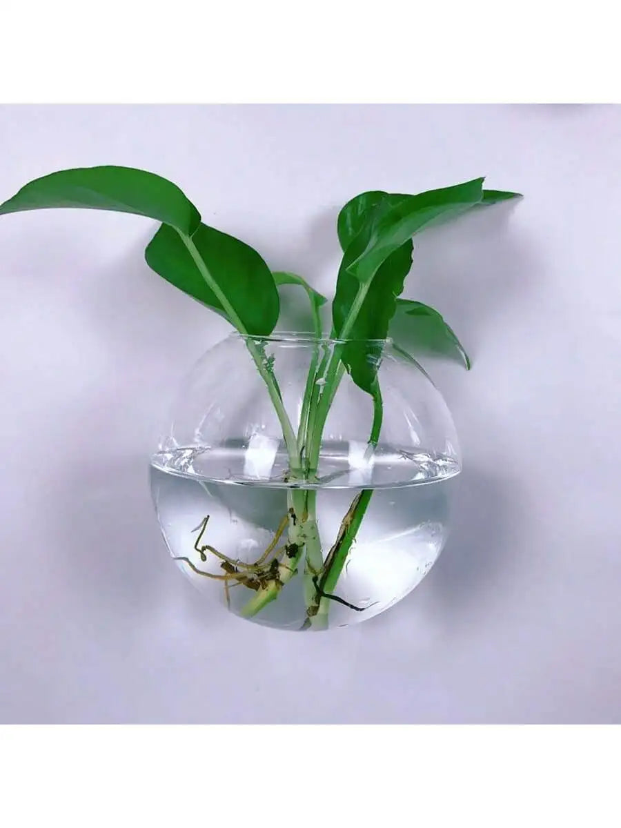 2/4/6 Pack Wall Hanging Glass Terrarium - Self-Watering Hydroponic Planter for Home Office Decor, Handmade Round Crystal Vase