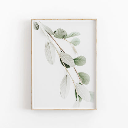 Minimalist Aesthetics Nordic Botanical Poster Canvas Painting Eucalyptus Palm Leaves Art Plant Printable Wall Decor