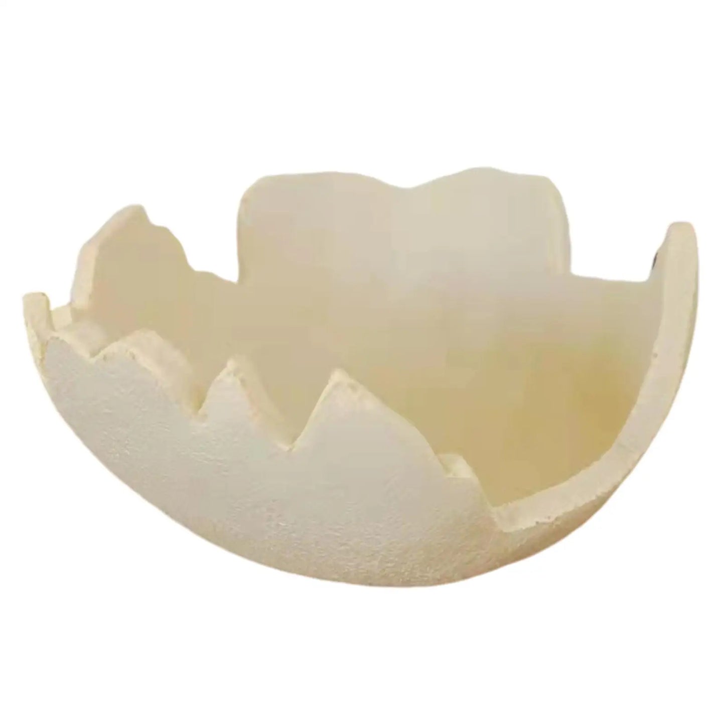 Infant Photo Shooting Prop Boy Girl Monthly Photo Shoot Egg Shell Decor