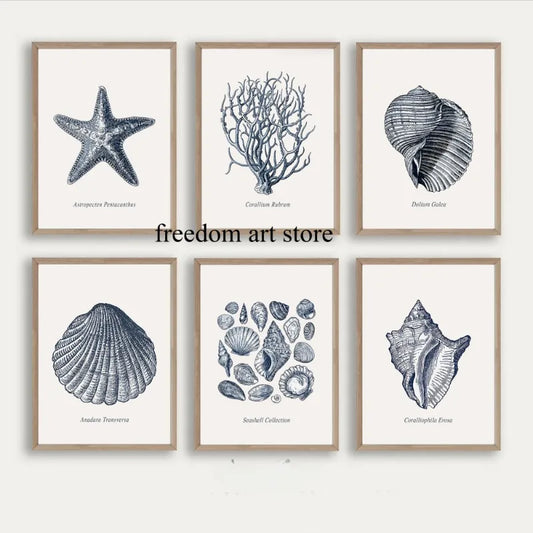 Antique Vintage Seashell Sketch Style Coastal Gallery Art Poster Canvas Painting Wall Prints Picture for Living Room Home Decor