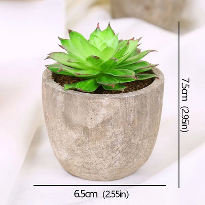 Mini Evergreen Artificial Succulent Plants Small Simulated Tree Pot Plants Fake Flowers Office Table Ornaments Home Garden Decor