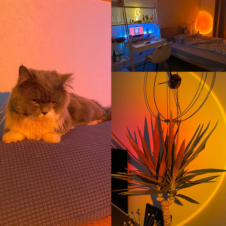 Lampe LED de coucher de soleil, projecteur USB, décoration de fête d'anniversaire, lumières d'ambiance pour chambre à coucher, salon, photographie murale
