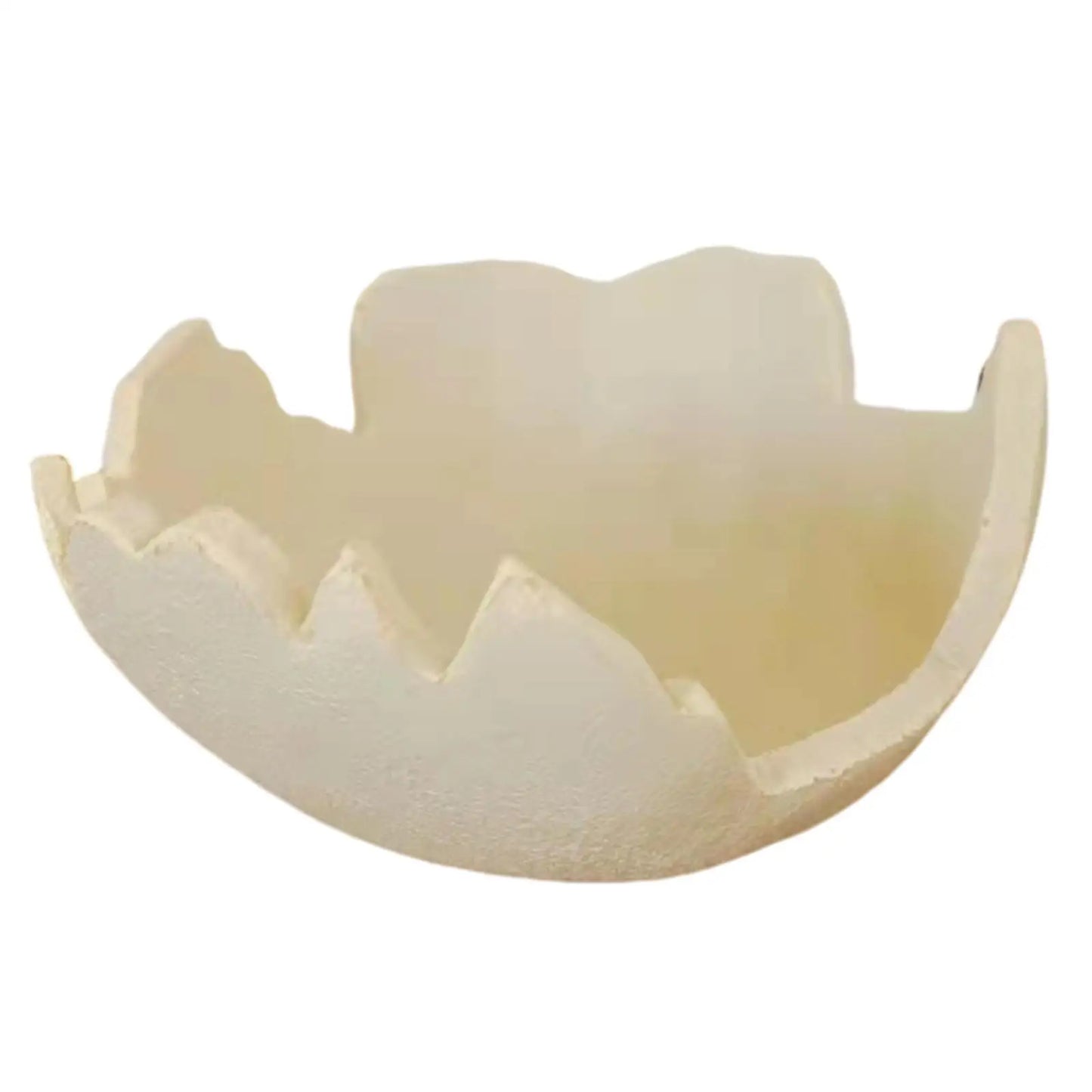 Infant Photo Shooting Prop Boy Girl Monthly Photo Shoot Egg Shell Decor