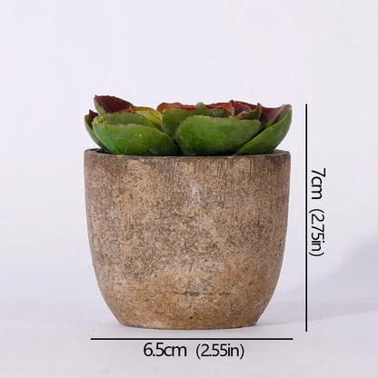 Mini Evergreen Artificial Succulent Plants Small Simulated Tree Pot Plants Fake Flowers Office Table Ornaments Home Garden Decor