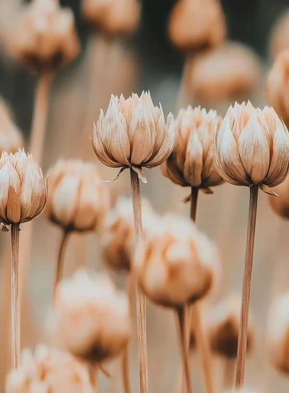 Neutral Modern Plant Art Abstract Minimalist Beige Black Flower Poster Canvas Printing Living Room Bedroom Home Decoration Gift