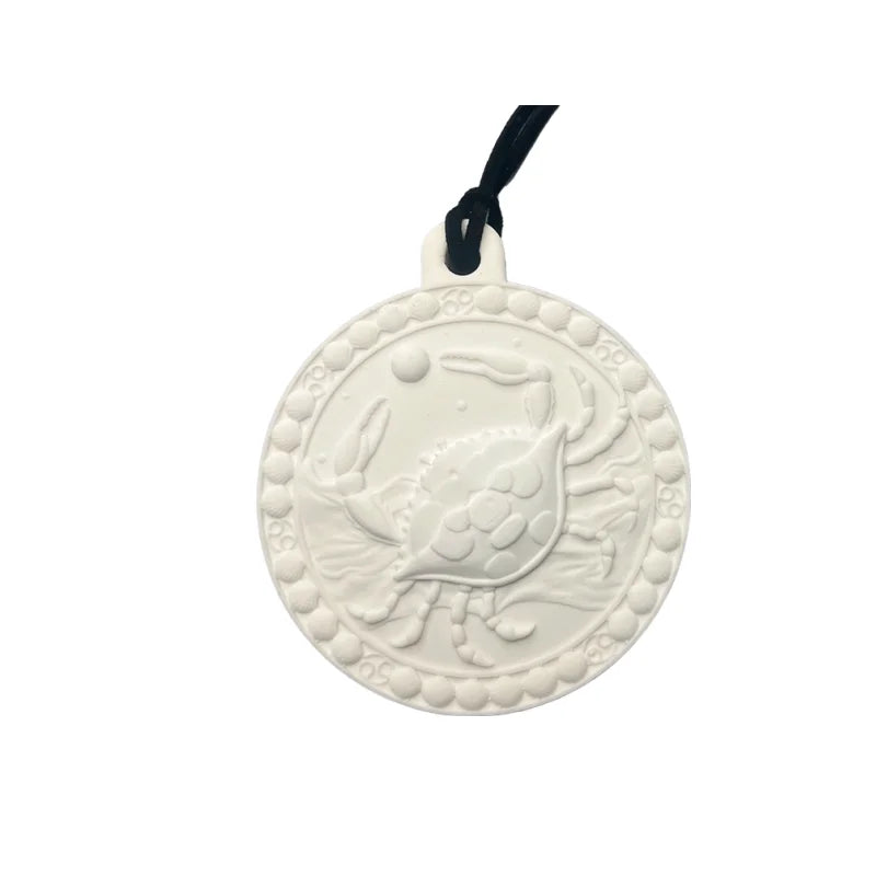 Twelve Zodiac Signs Gypsum Aromatherapy Pendant Car Wardrobe Indoor Modern Art Diffuser Stone Decoration Accesorios Items Gifts