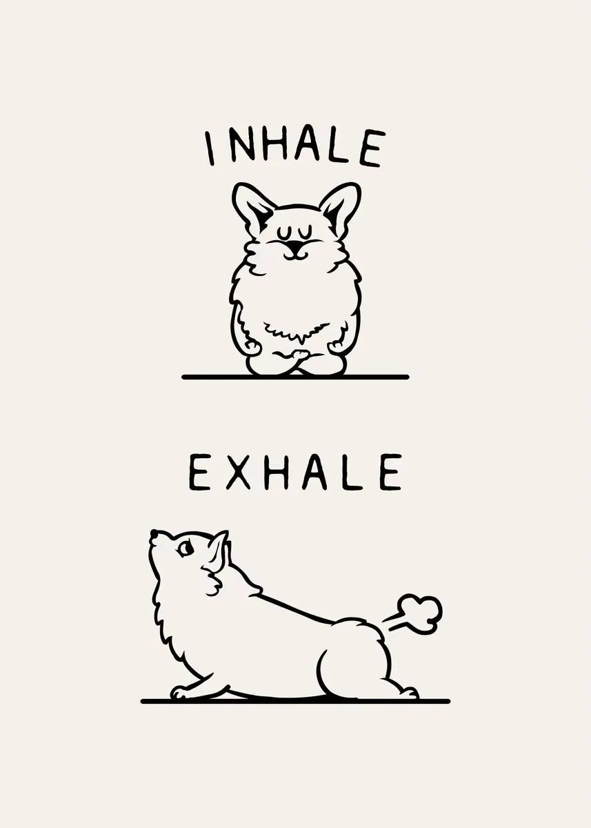 Inhale Exhale Poster Llama Sloth Husky Bulldog Dachshund Canvas Printing For Home Living Room Wall Decoration Frameless Painting