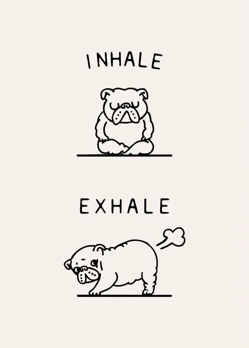 Inhale Exhale Poster Llama Sloth Husky Bulldog Dachshund Canvas Printing For Home Living Room Wall Decoration Frameless Painting
