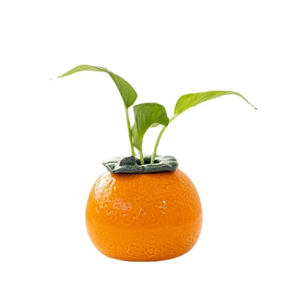 Creative Orange Hydroponic vase succulent flower pot desktop decoration water raised green flower vase home room decoration