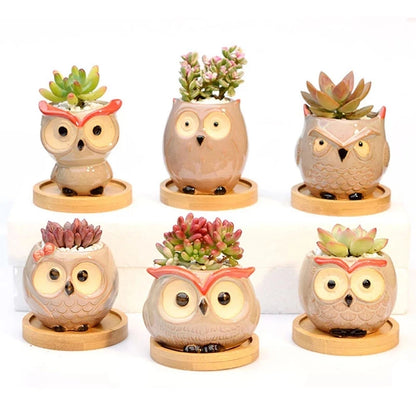 Mini Owl Flower Pot Garden Office Decoration Succulent Ceramic Flowerpot Pastoral Cute Animal European Style Household flowerpot