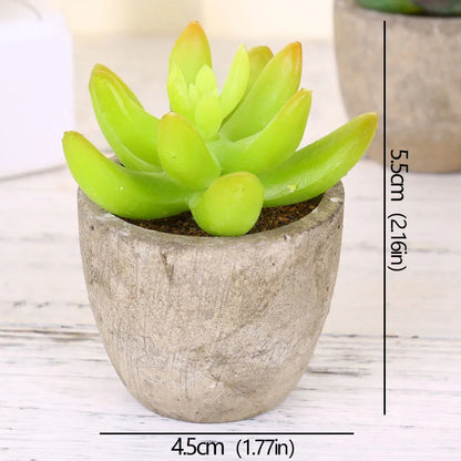 Mini Evergreen Artificial Succulent Plants Small Simulated Tree Pot Plants Fake Flowers Office Table Ornaments Home Garden Decor