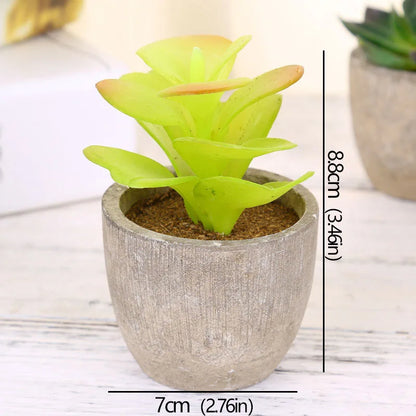 Mini Evergreen Artificial Succulent Plants Small Simulated Tree Pot Plants Fake Flowers Office Table Ornaments Home Garden Decor