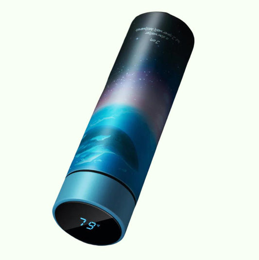 IsotherMe Thermos Bottle Led Temperature