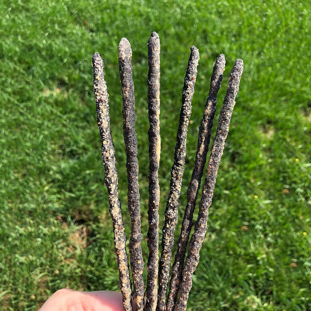 Sage Incense Sticks - acacuss