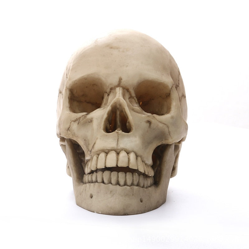 1: 1 Human Head Skull -standbeeld voor thuisdecoratiehars Figurines Halloween Decoration Sculpture Medical Teaching Sketch Model Crafts