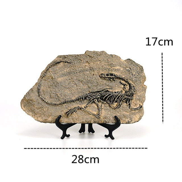 דינוזאור יצירתי מאובנים שרף מלאכה קישוט רטרו פסל בעלי חיים מיניאטורה מקורה קישוט מקורה קישוט מזכרת מתנה ביתית