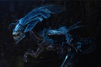 15 인치 1/10 Neca Aliens 외계인 퀸 여왕 영화 애니메이션 액션 피겨 이동식 공동 병사 차고 키트 인형 수집 가능한 모델 장난감