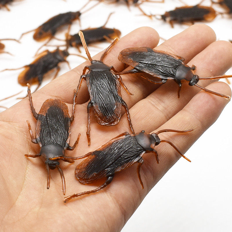 12kpl keinotekoinen väärennös torakoita Halloween rekvisiitti hauska temppu vitsi lelut Lifeelike Roaches Bug Halloween SPOOF Sisustuslahja