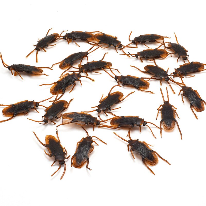 12pcs Artificial Fake Cockroach Halloween Props Funny Trick Joke Toys Realaches Realaches Bug Halloween Spoof Decoration Presente