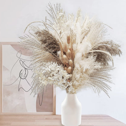 75pcs suszony kwiat naturalny pampas trawa bukiet bohemian elegancka dekoracja prawdziwy królik ton trzciny do akcesoriów ślubnych dekoracje