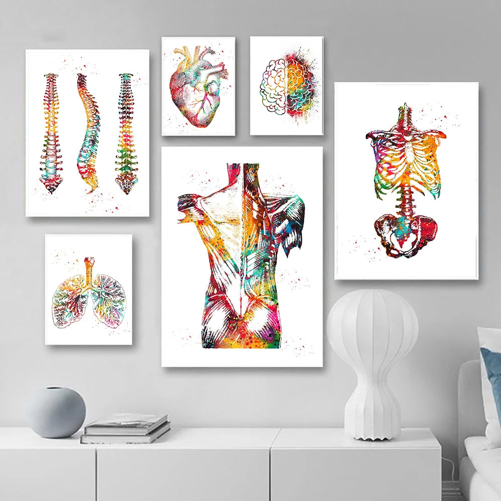ホーム人間の解剖学マッスルシステムウォールアートキャンバスペインティングポスターと印刷ボディマップウォール写真医学教育の装飾