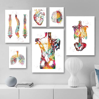 홈 인간 해부학 근육 시스템 벽 예술 캔버스 페인팅 포스터와 인쇄 신체지도 벽 그림 의학 교육 장식