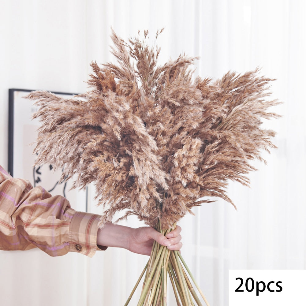 125pcs pampas fofos de flores secas de flores outono de natal decoração de decoração de coelho de coelho