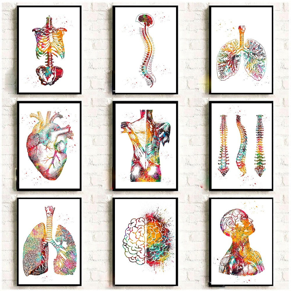 Home Human Anatomy Muscles System Wall Art Canvas Painting Posters And Prints Body Map Wall Pictures Medical Education Decor