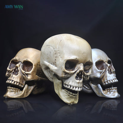 Skull Decor Prop Skeleton Head Plastic 1:1 Model Halloween Style Haunted House Party Home Decoration Game Supplies High Quality