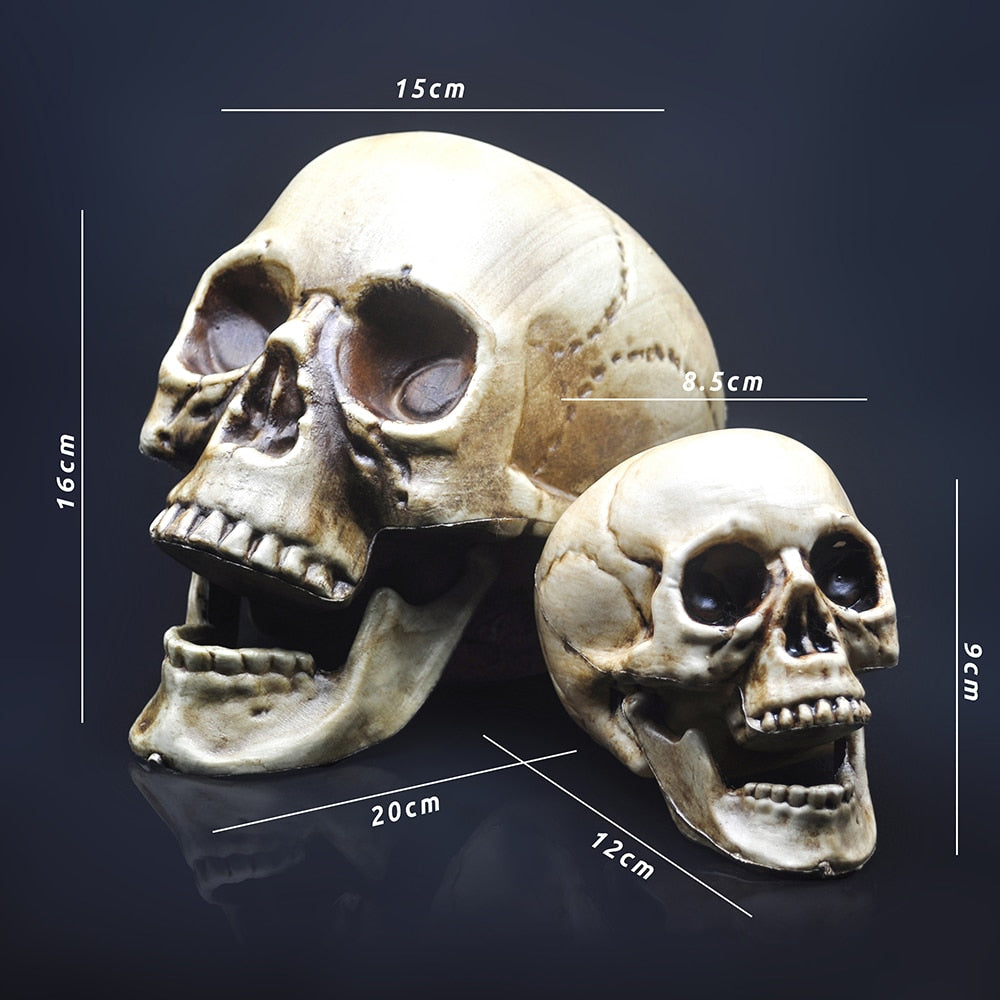 Tête de squelette en plastique, accessoire de décoration de crâne, modèle 1:1, Style Halloween, maison hantée, décoration de maison, fournitures de jeu de haute qualité 