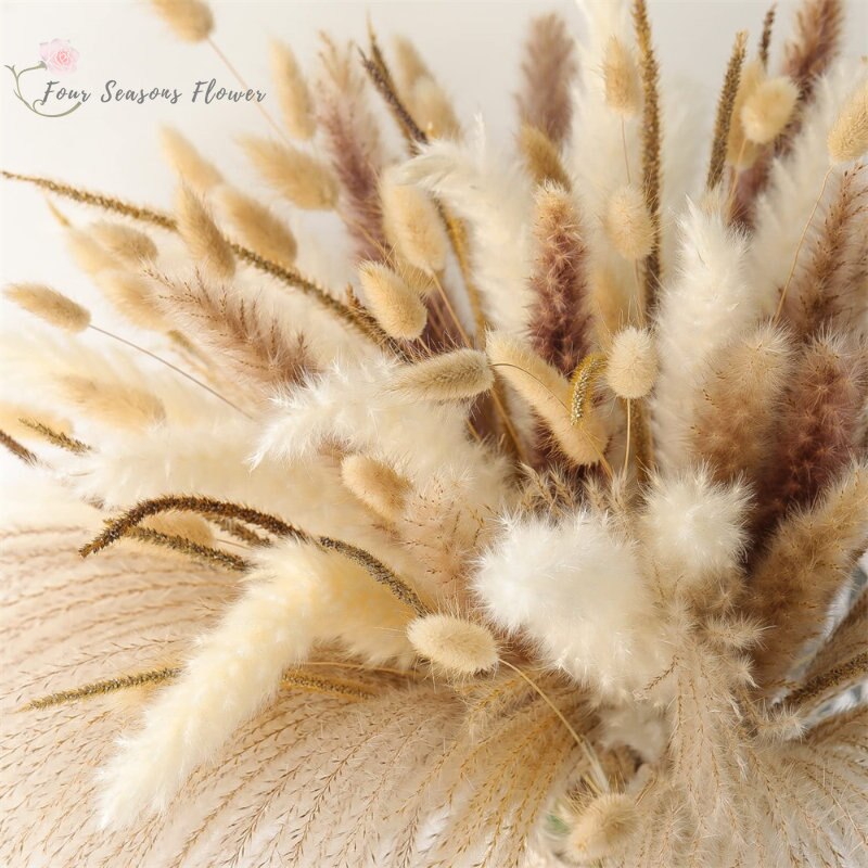 75 قطعة زهرة مجففة طبيعية Pampas العشب باقة البوهيمي شيك الديكور ذيل أرنب حقيقي القصب لإكسسوارات الزفاف ديكور