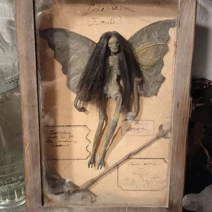 Gothic Home Decor Mummified Fairy Fairy Skeleton Witchy Decory Fairy Spesimen Patung Gambar Bingkai Paparan Lukisan 2023