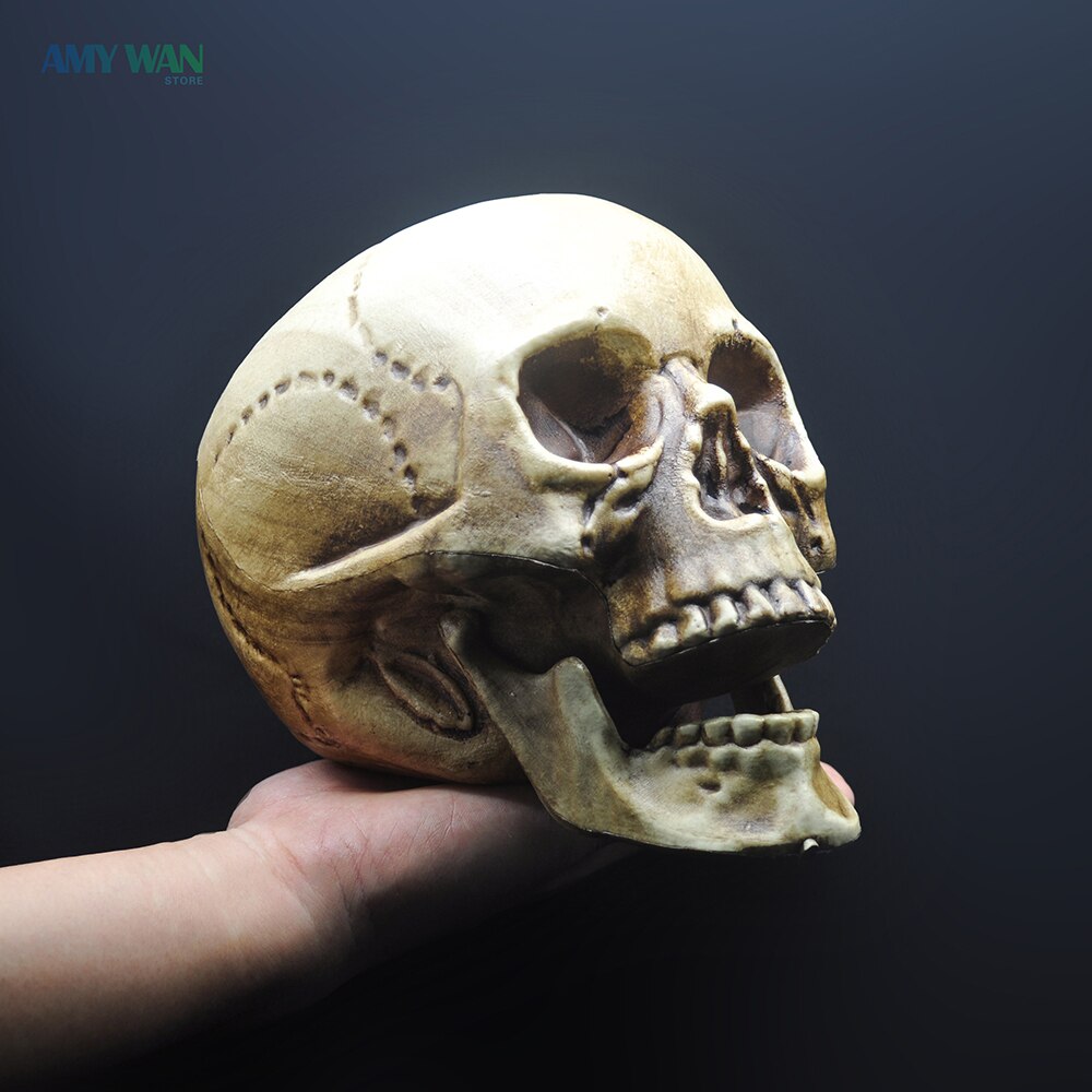 Arredamento del cranio oggetto di applicazione Skeleton Head Plastica 1: 1 modello Halloween Haunted House Party Decoration DECORAZIONI FORNITÀ DI ALTA QUALITÀ