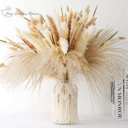 75 stk tørket blomst naturlig pampas gressbukett bohemsk chic dekorasjon ekte kaninhale reed for bryllupstilbehør dekor