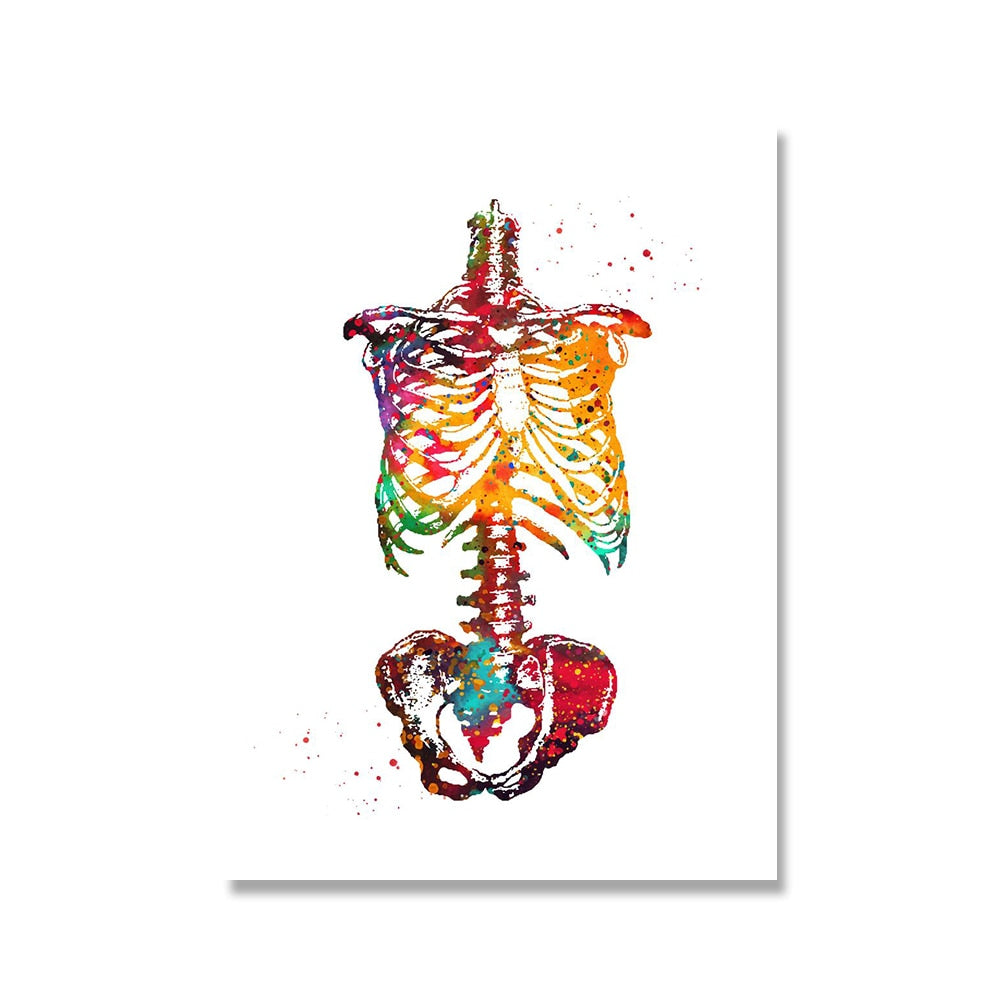 ホーム人間の解剖学マッスルシステムウォールアートキャンバスペインティングポスターと印刷ボディマップウォール写真医学教育の装飾