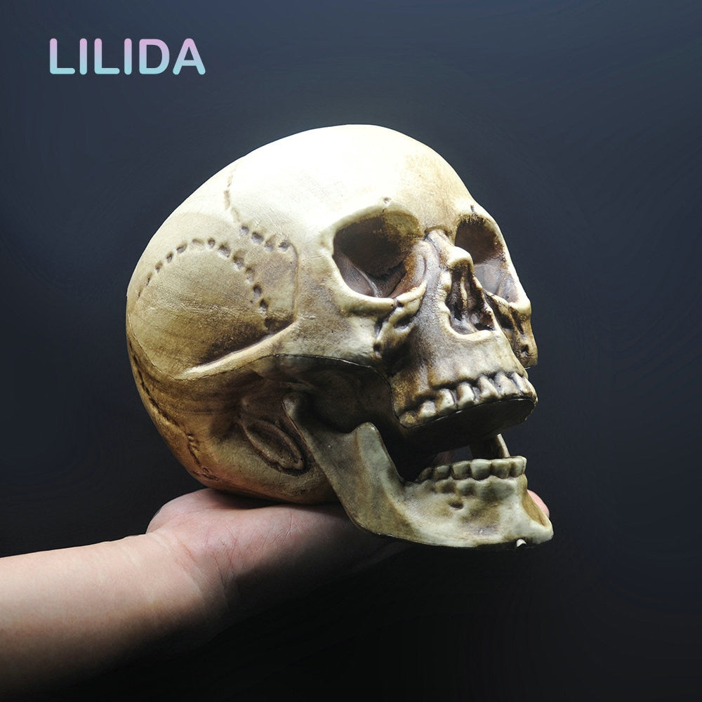 Скелетный скелет Decure Decor Prop Head Plastic 1: 1 Модель в стиле Хэллоуин.