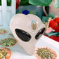 Figurine sculptée en pierre naturelle, crâne d'alien, cristal de guérison, différents matériaux de décoration, Collection de pierres précieuses, 1 pièces